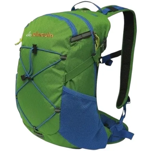 Рюкзак Pinguin Ride 19 Green (1033-PNG 327.Green)