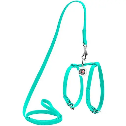 Шлея з повідцем для собак Waudog Glamour шкіряна з QR паспортом, ментоловий