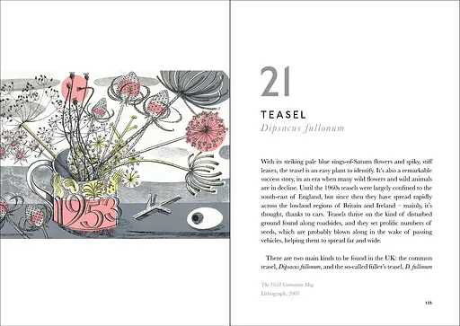 The Book of Wild Flowers - фото 4