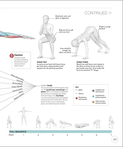 Science of HIIT - фото 14