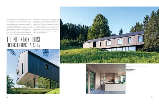 Surrounded by Wood - фото 2