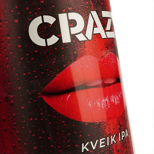 Уцінка. Набір пива Forever Top of the Top 4.5-8% 3 л з/б (0.5 л x 6 шт) - фото 7