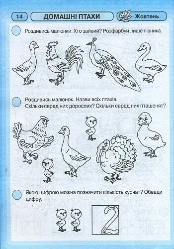 Промінчики знань 5+. Робочий зошит. Інтегровані заняття. До всіх чинних програм - фото 5