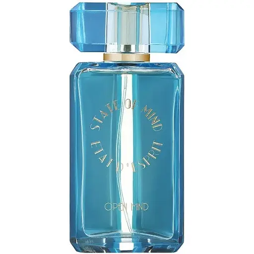 Парфюмированная вода оригинал тестер State Of Mind Open Mind 100 мл - фото 1