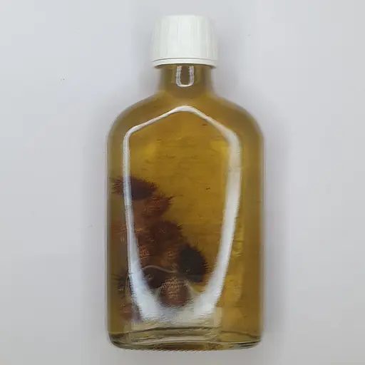 Водная настойка на шишках дурнышника 200 мл - фото 2