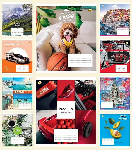 Зошити учнівські 24 аркуша клітинка Люкс ТЕ11323 МІКС 24КЛ1, 20 шт. в упаковці