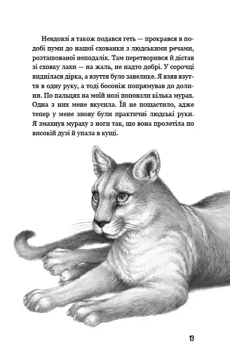 Діти лісу. Таємниця Голлі - фото 10