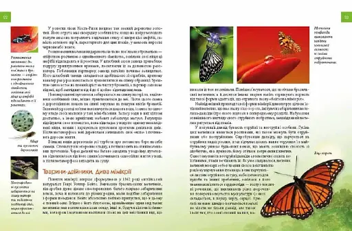 Енциклопедія для допитливих А5 : Тварини - майстри маскування (Українська ) - фото 4