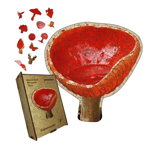 Деревянный пазл Саркосцифа, А5, Деревянная коробка 35 элементов