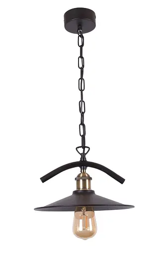 Підвісний світильник LS 1056-1L - фото 1