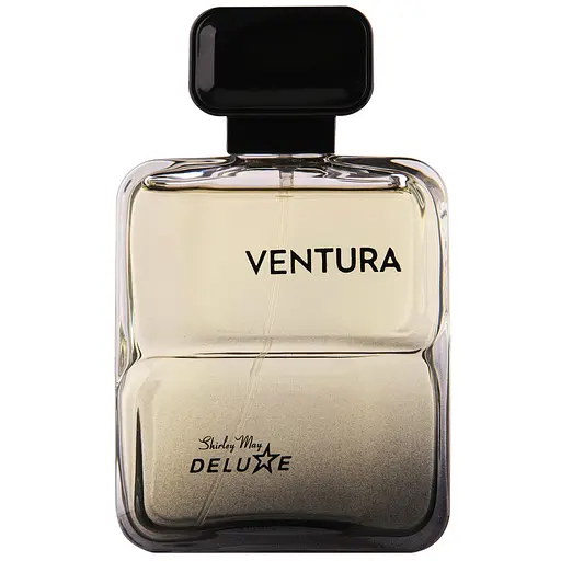 Туалетна вода для чоловіків Shirley May Deluxe Ventura 100мл (MM31387)