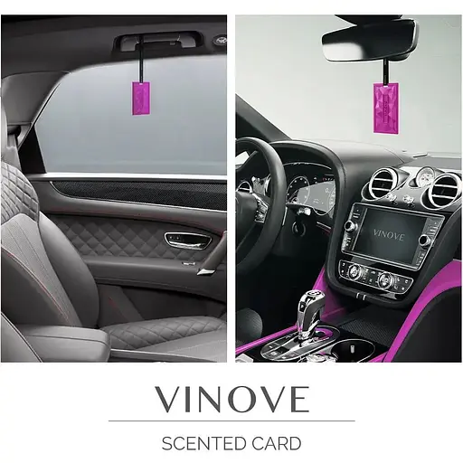 Ароматизована підвісна картка Vinove Монца - фото 5