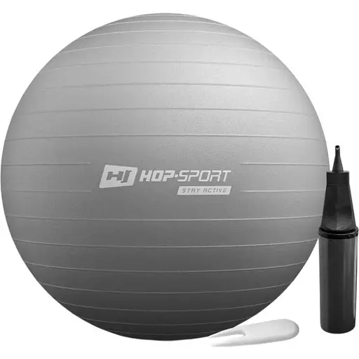Фітбол Hop-Sport 65 см сірий + насос - фото 1