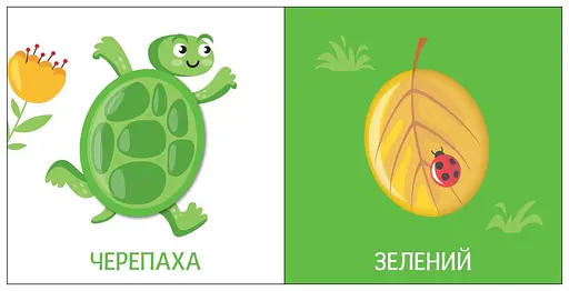 Книга Яскравий світ. Кольори (Ранок) - фото 4