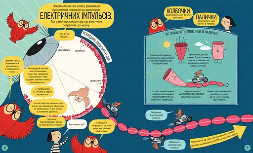 Книжка про мозок і те, як він працює. Автор др. Бетіна Іп - фото 4