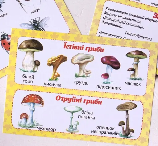 Набір карток. Осінні спостереження для дошкільнят та учнів 1-х класів - фото 3