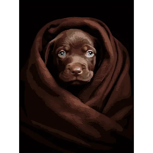 Картина за номерами Strateg Песик у пледі на чорному фоні 30х40 см (FH-26) - фото 1