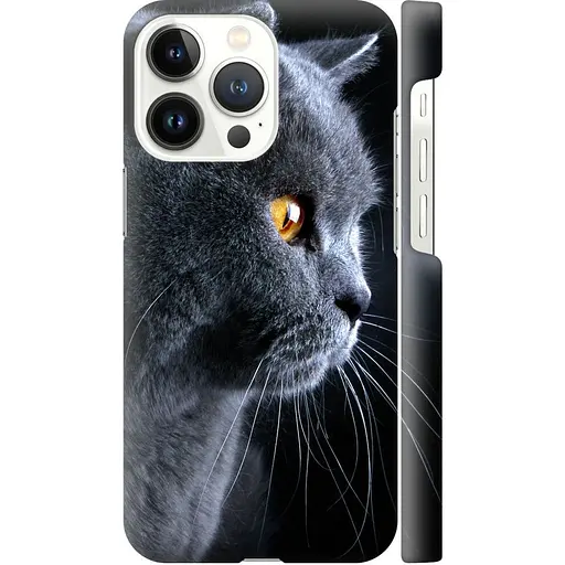 Чохол EndorPhone пластиковий матовий iPhone 13 Pro Красивий кіт (3038m-2372-26985) - фото 1