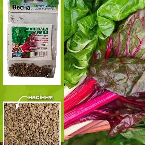 Мангольд смесь (Зипер) ТМ "Весна" 3г (49444) - фото 1