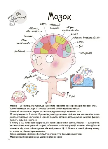 Як улаштоване моє тіло. Книжка для дітей (і дорослих!). 4+ - фото 4