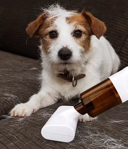 Беспроводной пылесос Vacuum Cleaner K9T для удаления пылевого клеща - фото 9