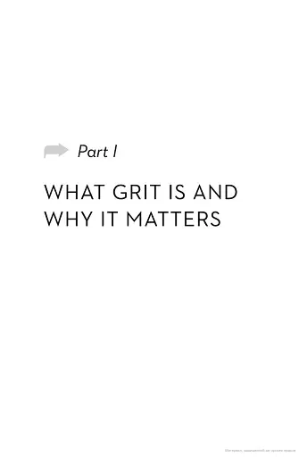 Grit - фото 6
