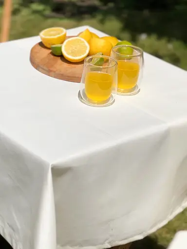 Водоотталкивающая cкатерть Ваниль однотон 200х120 см (+ 5 салфеток 30х40) - фото 5