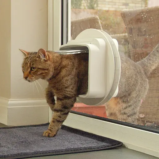 Кваточка для животных SureFlap Cat с двойным сканированием DSCF001 - фото 3