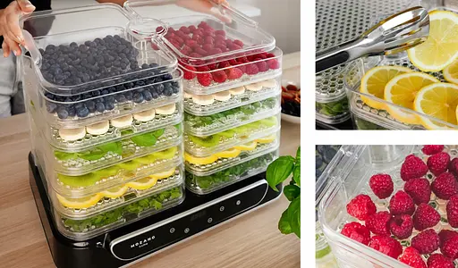 Дегідратор для овочів фруктів грибів Mozano VitaDry AGD/SUS/04 - фото 4