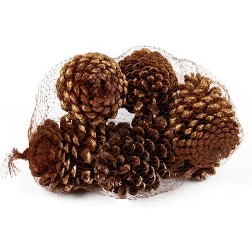 Набор декоративных шишек Lefard 6 шт (801-578) - фото 2