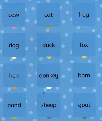 Lift-the-Flap. Word Book - фото 3