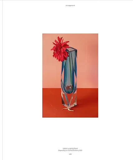 Flora Photographica - фото 12