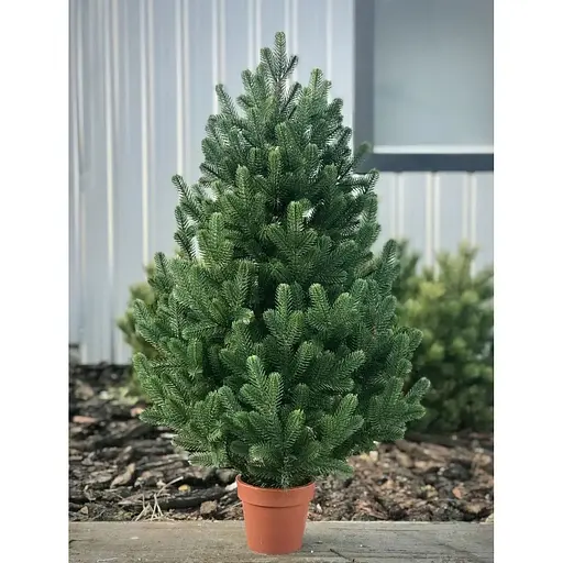 Ялинка Hvoya Traditional лита в горщику 90 см зелена новинка - фото 5