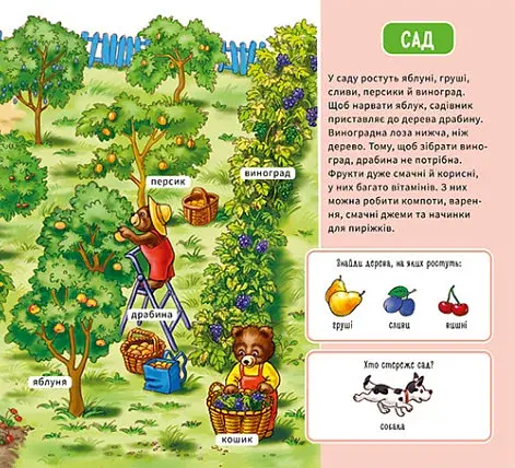 Мій перший словничок. На фермі - фото 5