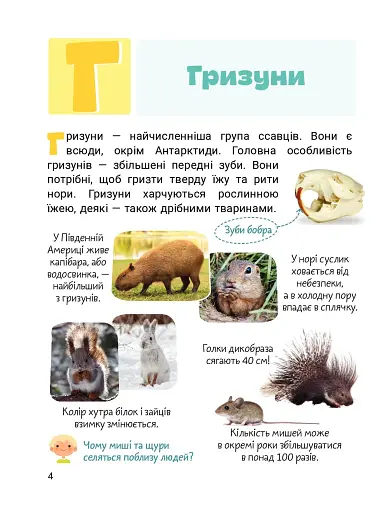 Класна абетка. Тварини - фото 2