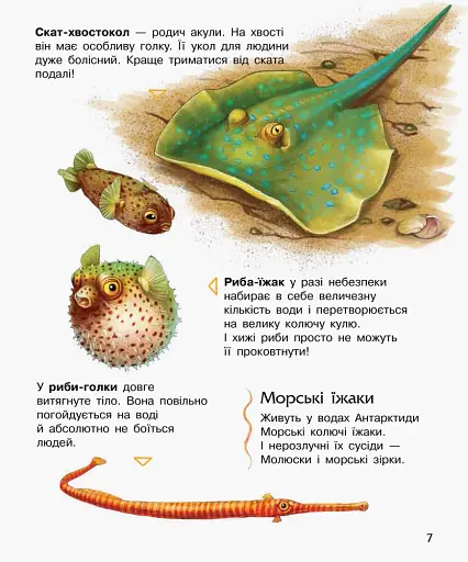 Океани та моря. Енциклопедія дошкільника - фото 7