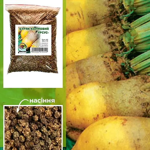 Свекла Кормовая "Урсус" ТМ "Весна" 500г (15226) - фото 1