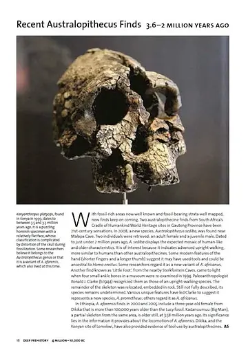 Archaeology. The Whole Story - фото 2