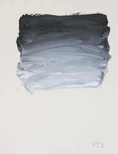 Масляная краска Rive gauche 40 мл, Черный Марс (Mars Black) - фото 2