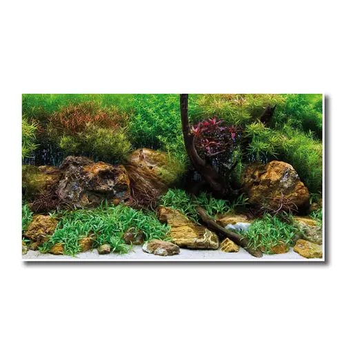 Фон двосторонній Amtra Adventure 60 см х 15 м (рулон) - фото 1