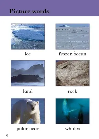 Ice Worlds. Ladybird Readers. Level 3 - фото 2