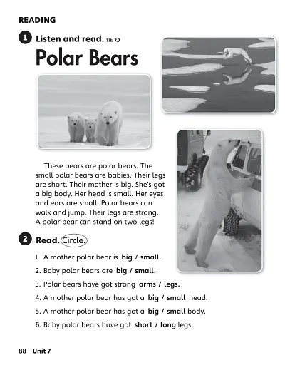 Our World 2. Workbook - фото 10