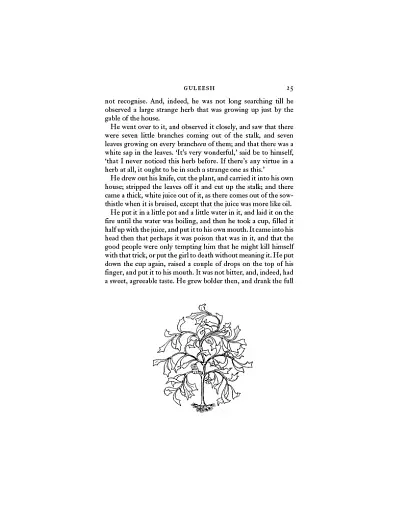 Irish Fairy Tales - фото 22