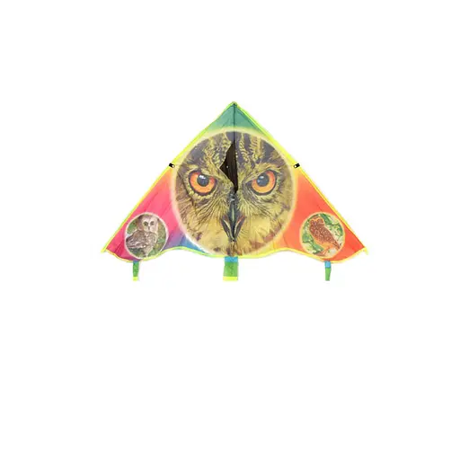 Воздушный змей M 2981 с хвостом 120см Сова