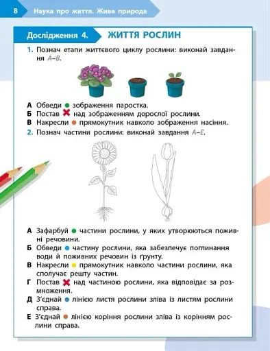 STEM-Старт. Зошит для учня. Наука про життя. 3 клас - фото 3