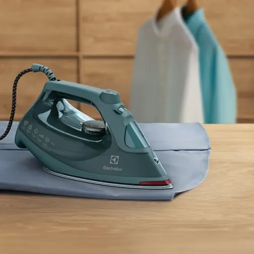 Праска ELECTROLUX E6SI1-6PG - фото 4