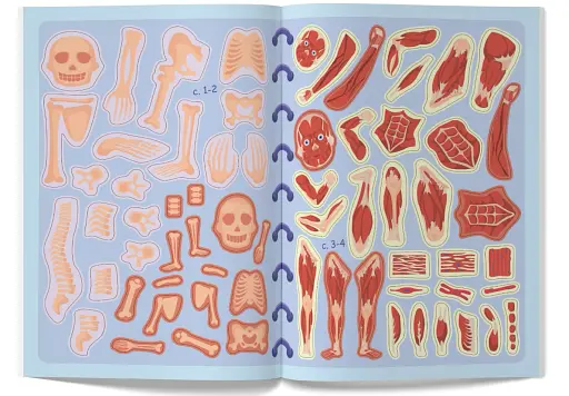 Меганаліпки. Тіло людини - фото 6