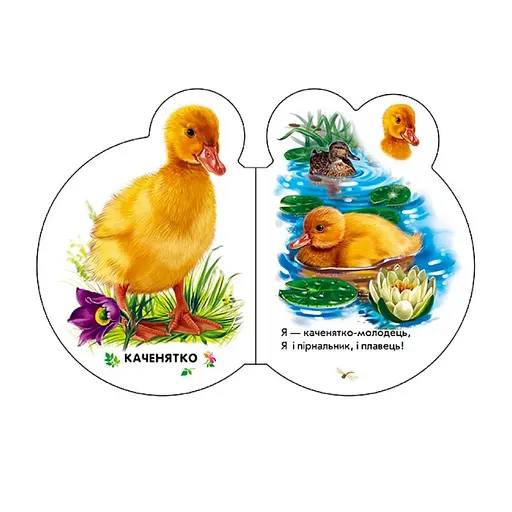 Картонна книжечка для найменших Малюки: У селі 411016 аудіо-бонус - фото 3