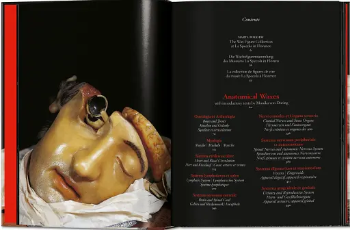 Anatomical Waxes. 45th Edition - фото 2