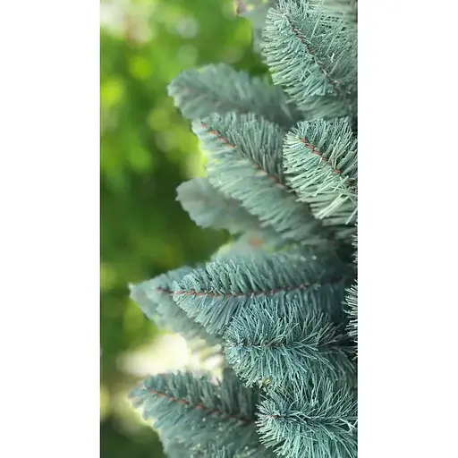 Елка Hvoya Альпийская узкая 220 см голубая - фото 3